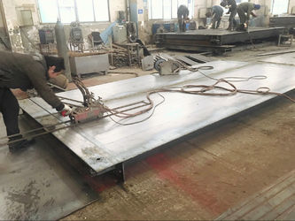Changzhou Skyerscale Co.,Limited fabrika üretim hattı
