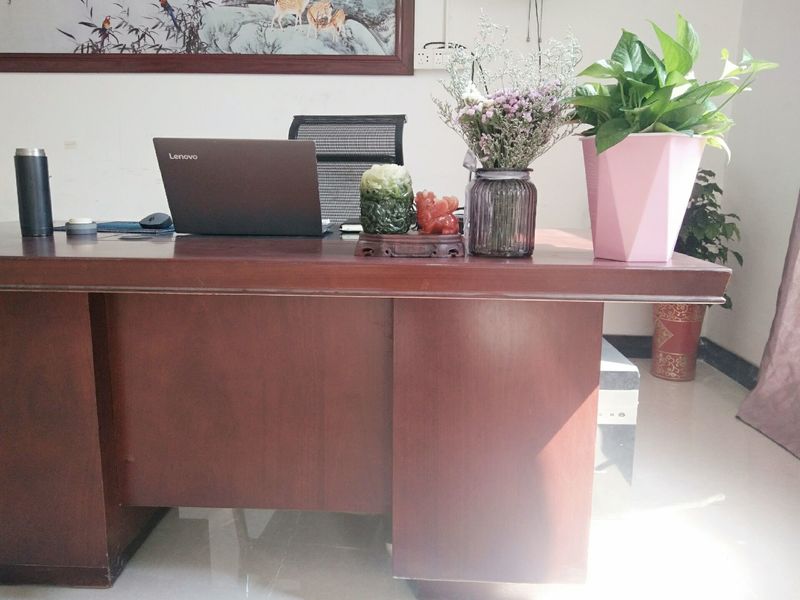 Changzhou Skyerscale Co.,Limited