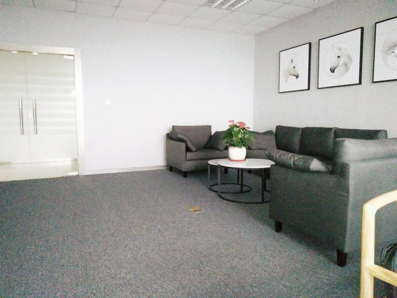 Changzhou Skyerscale Co.,Limited