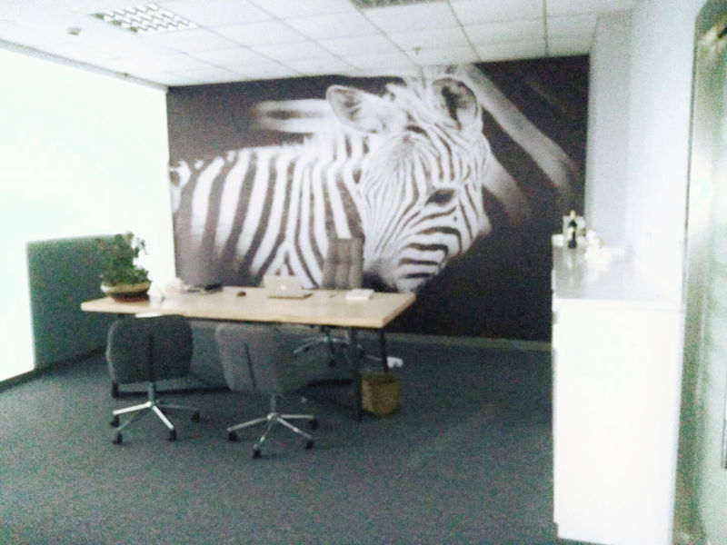 Changzhou Skyerscale Co.,Limited