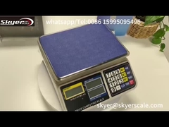 30kg 1g Dijital Ağırlık Ölçeci LCD Arkaplan Işıklı Ekranla
