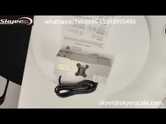 Endüstriyel ağırlık platformları için ZEMIC L6G 500 kg yük sensörü hücreleri