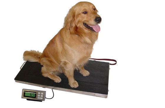 Paslanmaz Çelik 304 Taban Tabağı 150kg Köpek Tartı Terazileri