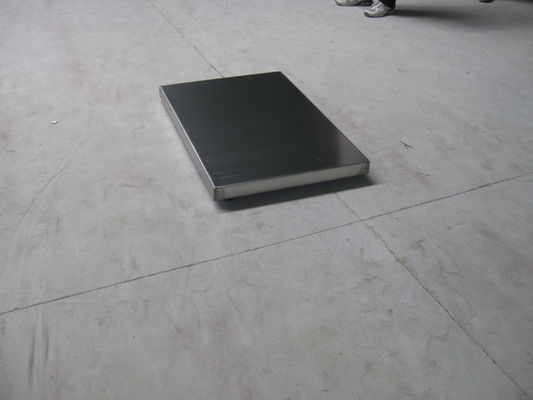 Paslanmaz Çelik 304 Taban Tabağı 150kg Köpek Tartı Terazileri