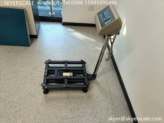 Endüstriyel Dijital Ağırlık Makinesi 450x600mm 300kg Platform ölçeği