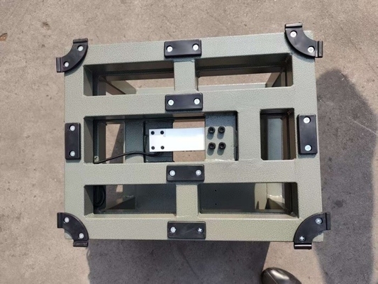 300kg Çatlak tavuk ölçeği Denge Dijital tartma Elektronik platform ölçeği