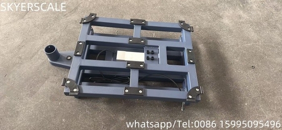 300 kg TCS Dijital Elektronik Platform Ölçeği Seçenekli Tozla Kaplı İşlem