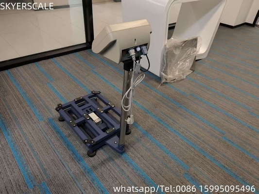 Platform Elektronik Denge Ekonomik Masaüstü Ölçeği 300kg