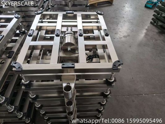 Stainless Steel Waterproof  Industrial Electronic Digital Platform Bench Balance Scale 800x600mm 600kg