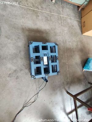 300kg Electronic Digital Retail Bench Scale Carbon Steel Platform LED ZEMIC Load Cell OEM ODM Customized